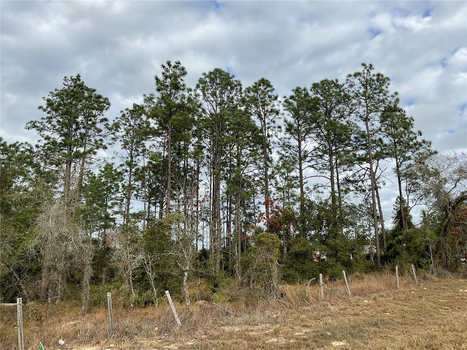 WILLISTON HIGHLANDS UNIT 12 - Land