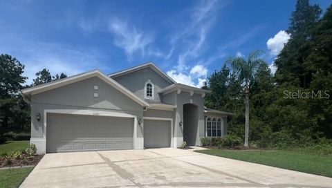 A home in WESLEY CHAPEL