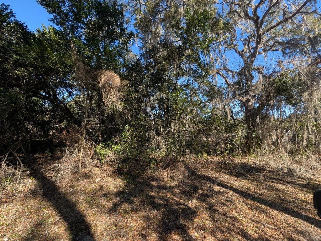 Photo of 0 Gladiola Court, Dade City, FL 33523 (MLS # TB8471218)