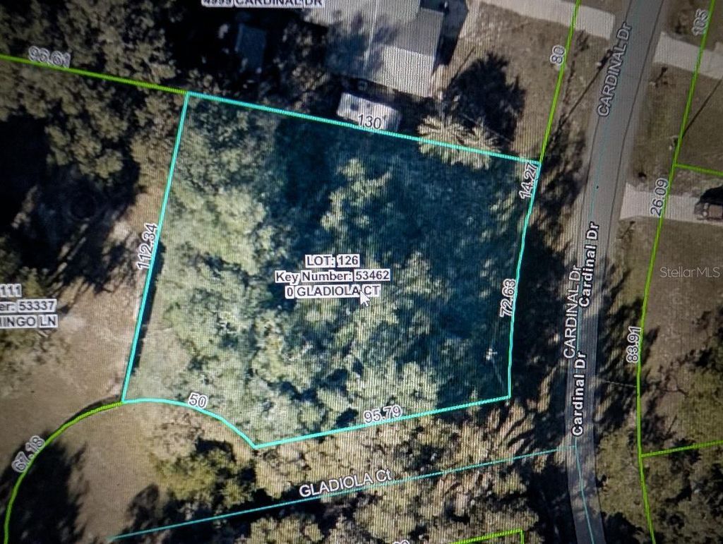 Photo of 0 Gladiola Court, Dade City, FL 33523 (MLS # TB8471218)