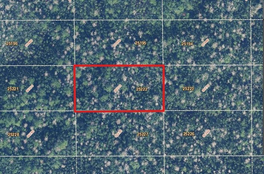 **Land Banking Opportunity** This Parcel is 1.22 acres / 53,317.80Sq Ft. Per County Records for this Great Price! Unimproved Land Zoned A-2 for Future Development. Great Investment Opportunity Awaits. Could Be used to Enjoy Florida Wildlife, Peaceful Nature Walks, Camping or Hunting. New Owner can work with the County to start improvements/development to the area.  Bring your offers and secure this large tract of land Today!