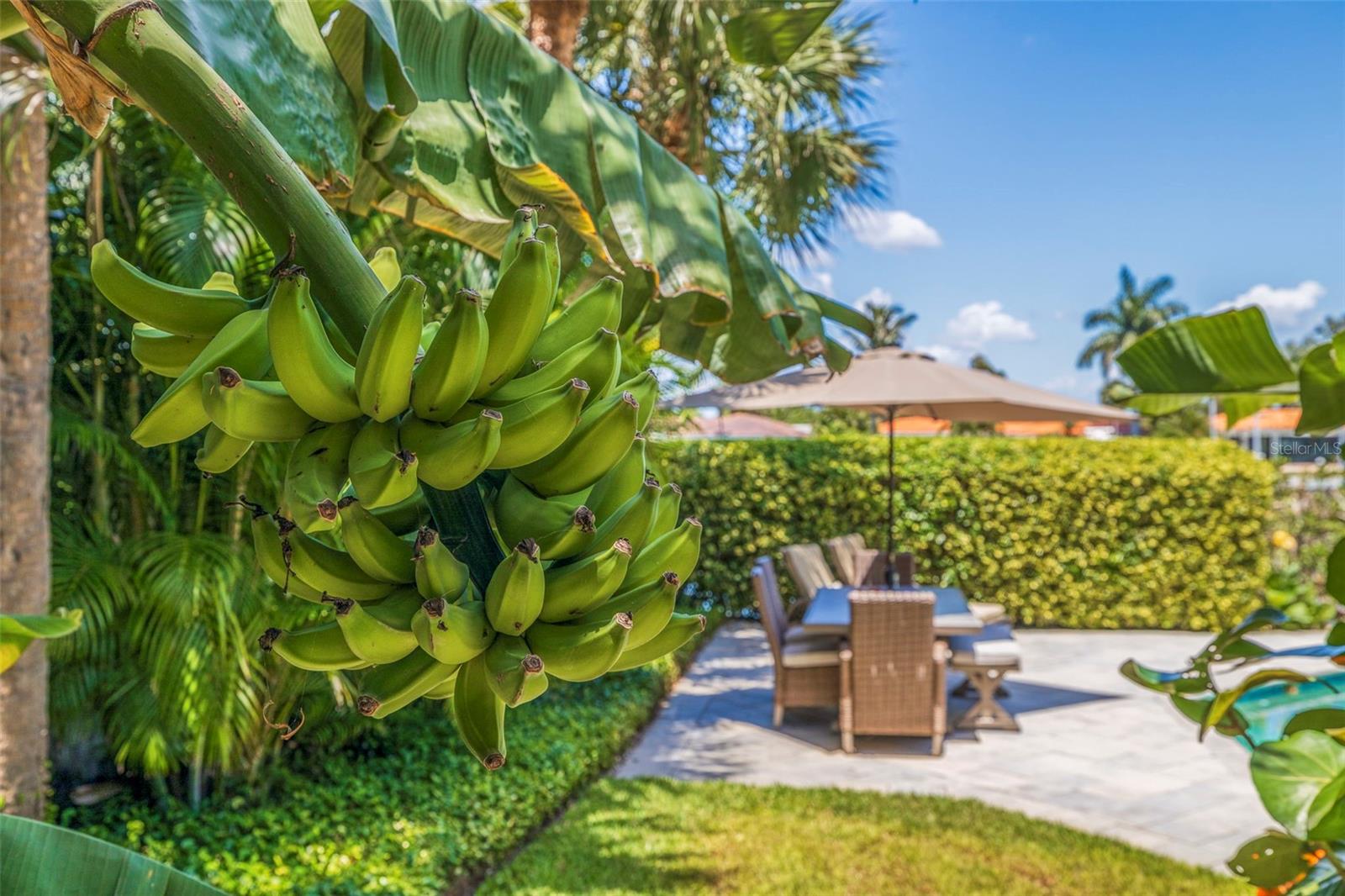 MAXIMO MOORINGS BAYVIEW ADD - Residential