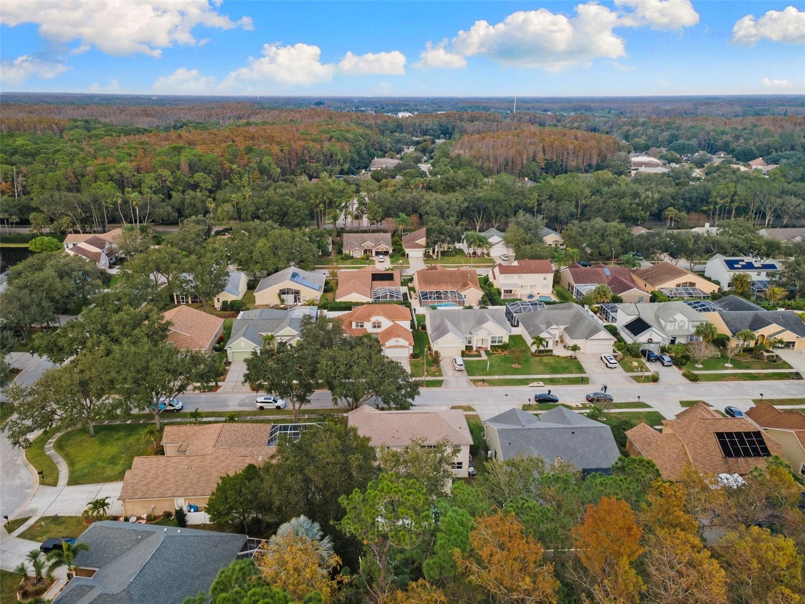 ELLINWOOD PH 2 - Residential