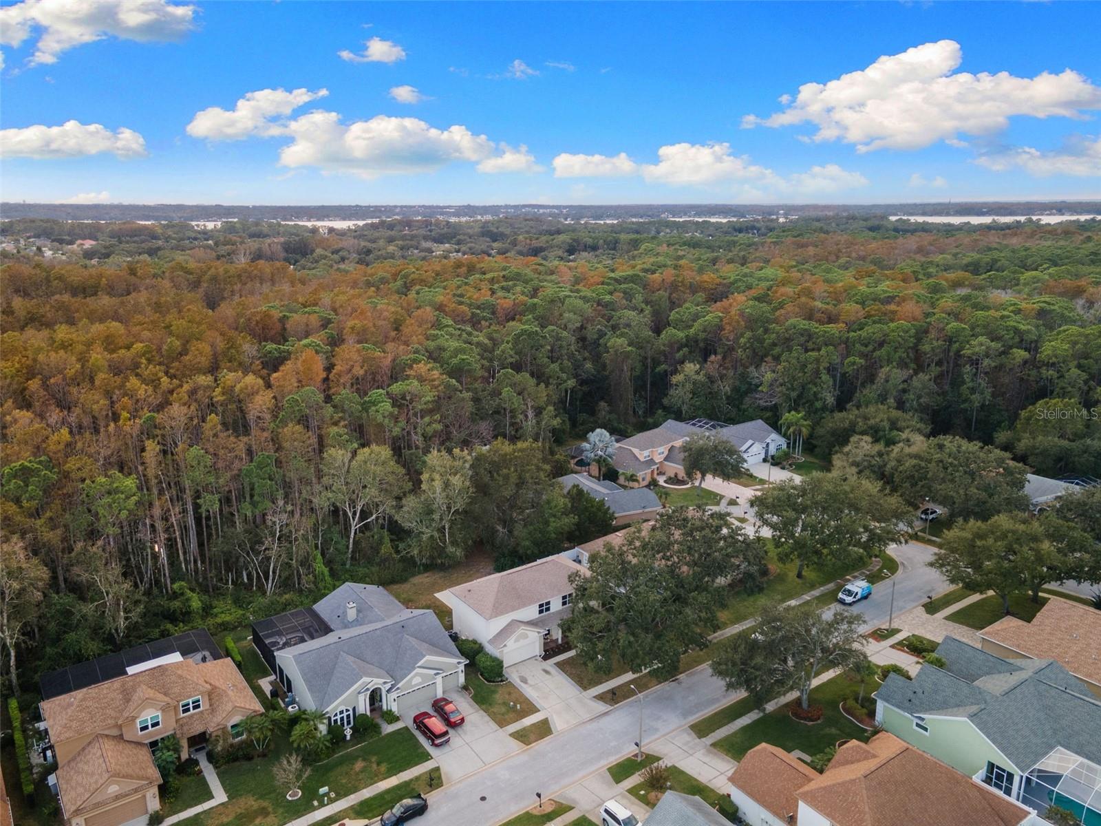 ELLINWOOD PH 2 - Residential