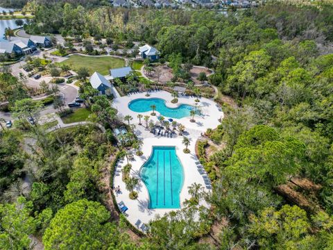 A home in LAND O LAKES