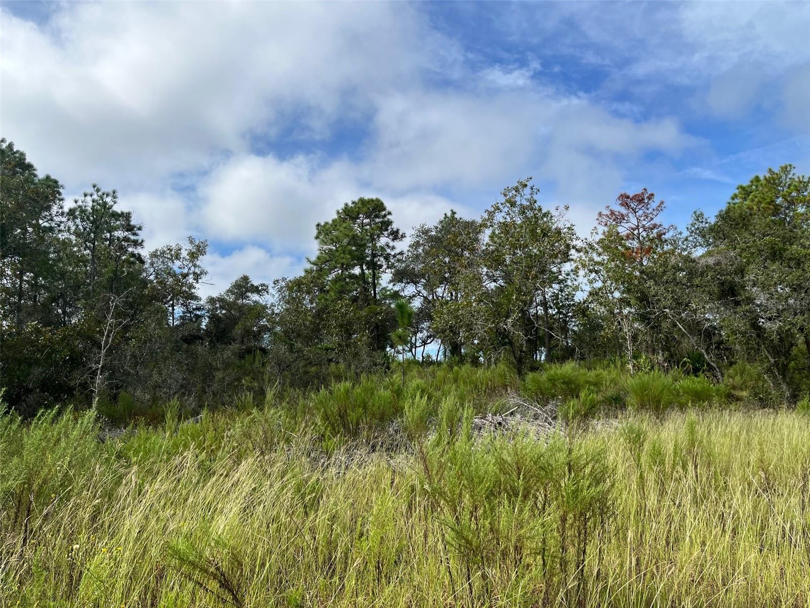 ROYAL HIGHLANDS - Land