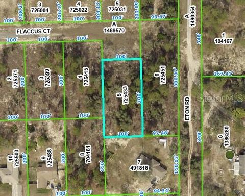 13154 FLACCUS COURT BROOKSVILLE FL 34613