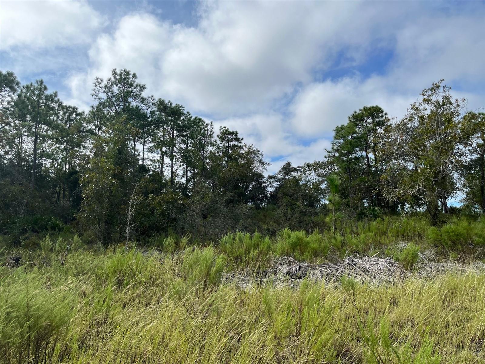 ROYAL HIGHLANDS - Land