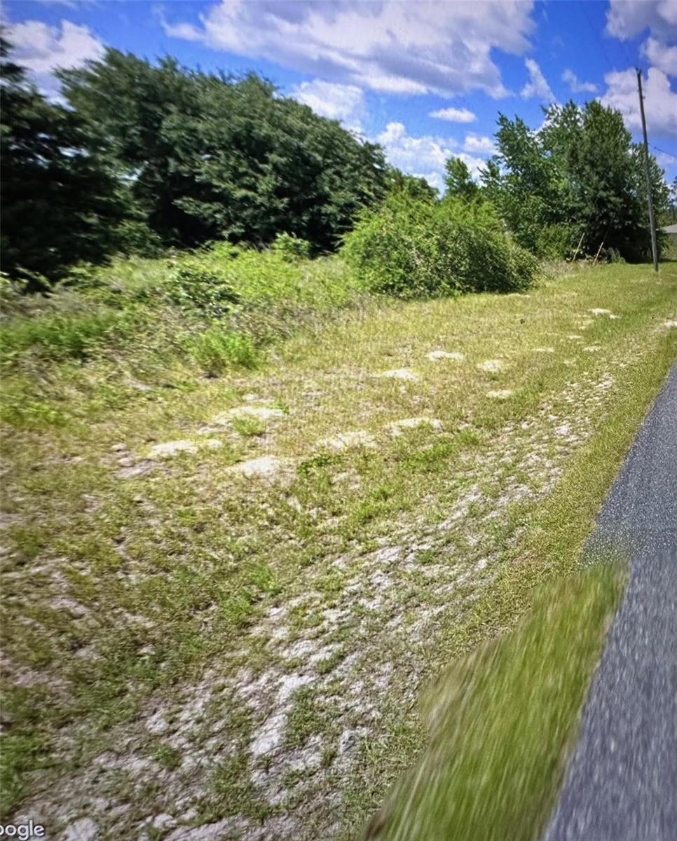 Take this opportunity to build your Florida dream home in Marion County. Nestled in a quiet neighborhood, this property offers convenience to schools, shopping, and restaurants. INFORMATION IS DEEMED RELIABLE BUT NOT GUARANTEED…TO BE VERIFIED BY THE BUYER AND/OR BUYER'S AGENT INCLUDING UTILITIES. HIGHEST AND BEST OFFER BY 11PM MONDAY, 5/27/24.