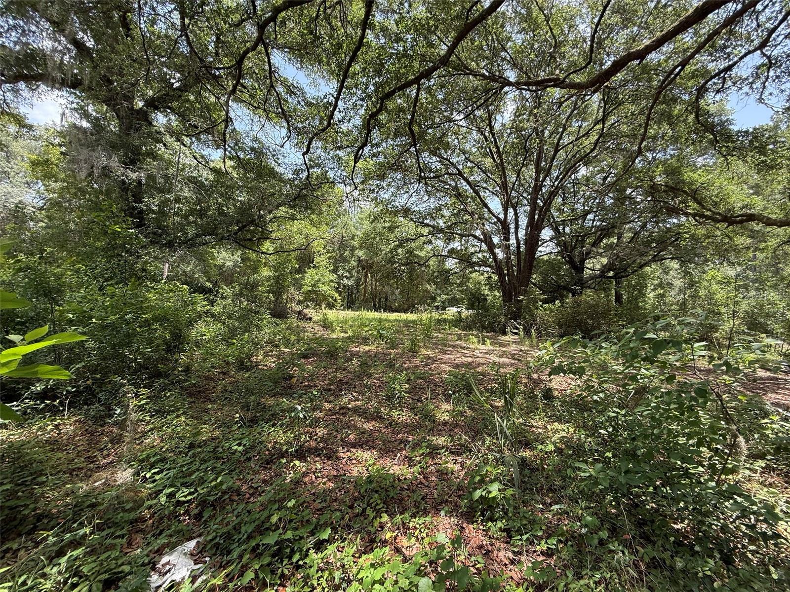 Do not miss out on this oversized 0.52-acre high and dry corner lot in the growing city of Interlachen. Located within minutes of schools, restaurants, diners, and parks. An easy commute to Gainesville or Palatka and less than an hour from the beach. Investing in land in Florida is a wise choice for your future, whether you're looking to build your dream home, a vacation getaway, a rental property, or simply let the land appreciate as a valuable long-term asset to resell at a profit in the future.