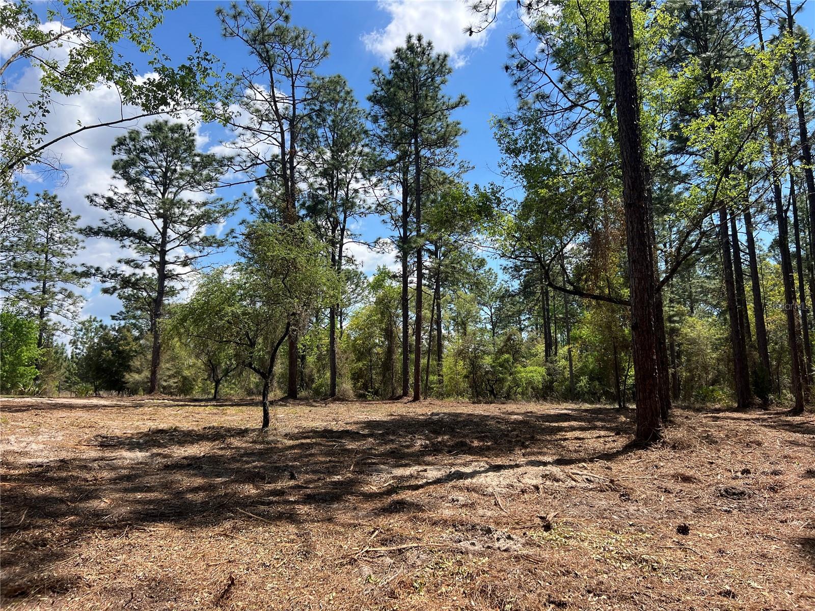 RAINBOW LAKES ESTATE - Land