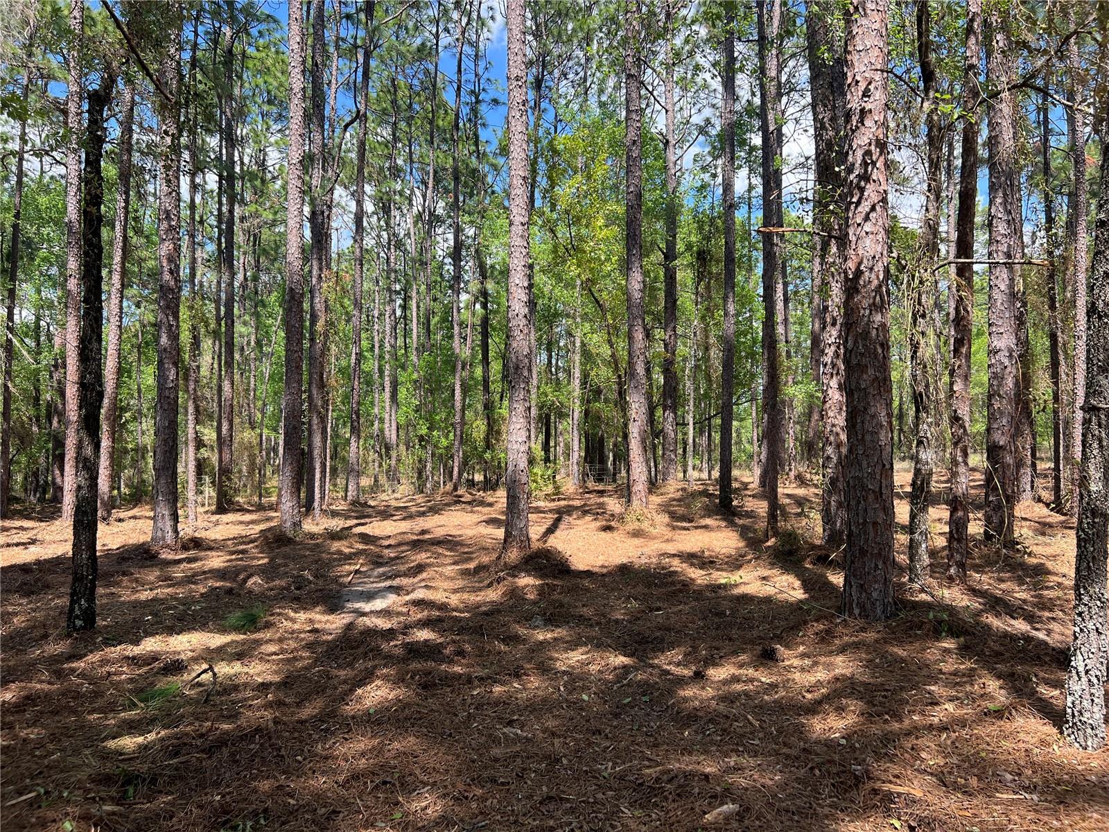 RAINBOW LAKES ESTATE - Land