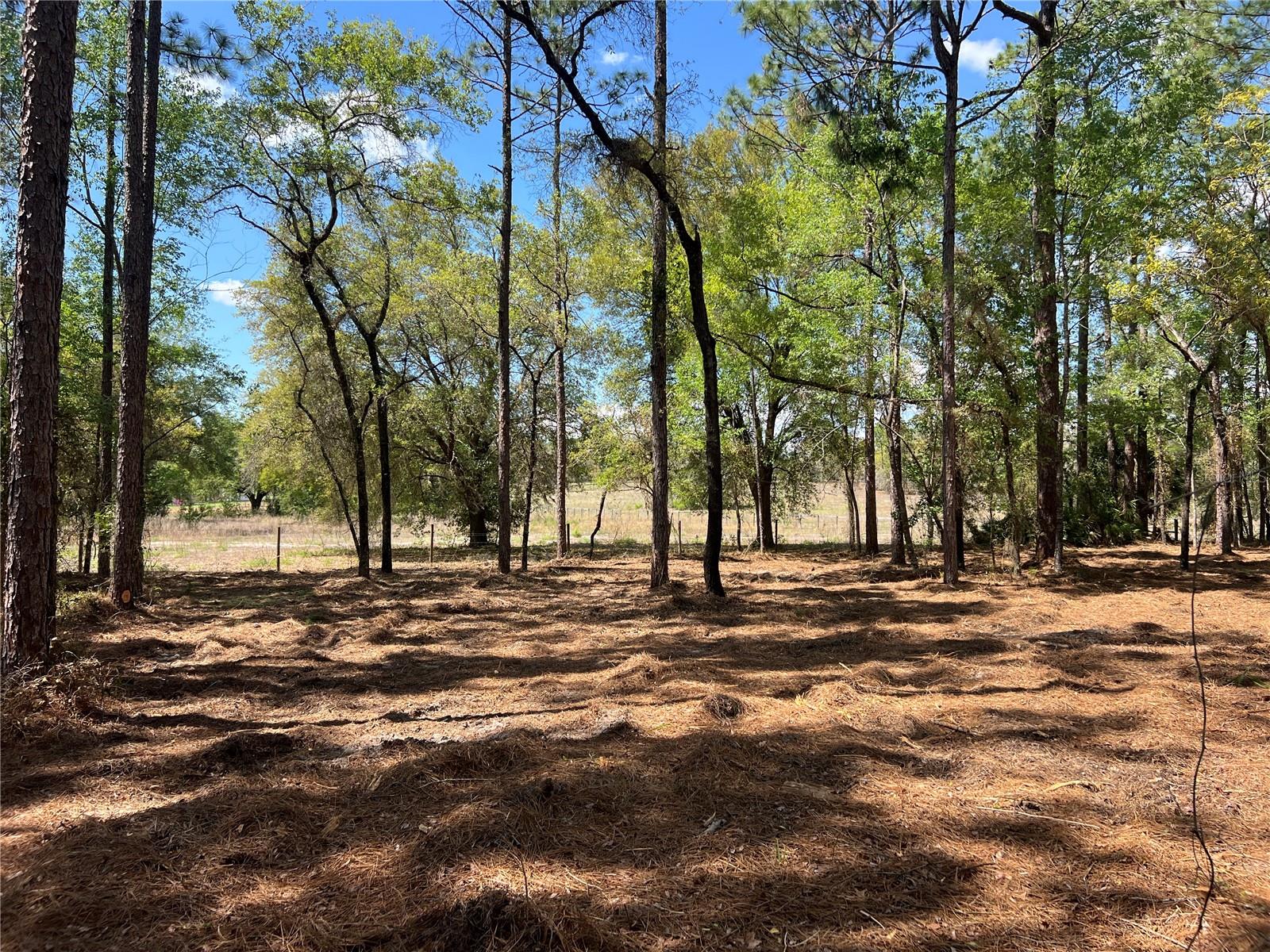 RAINBOW LAKES ESTATE - Land