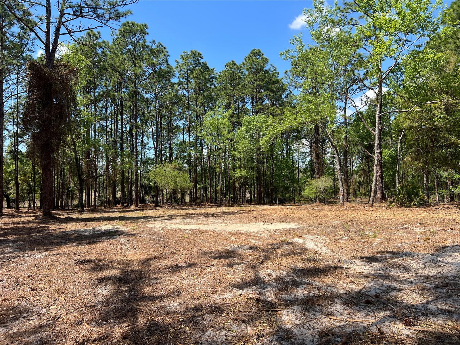 RAINBOW LAKES ESTATE - Land