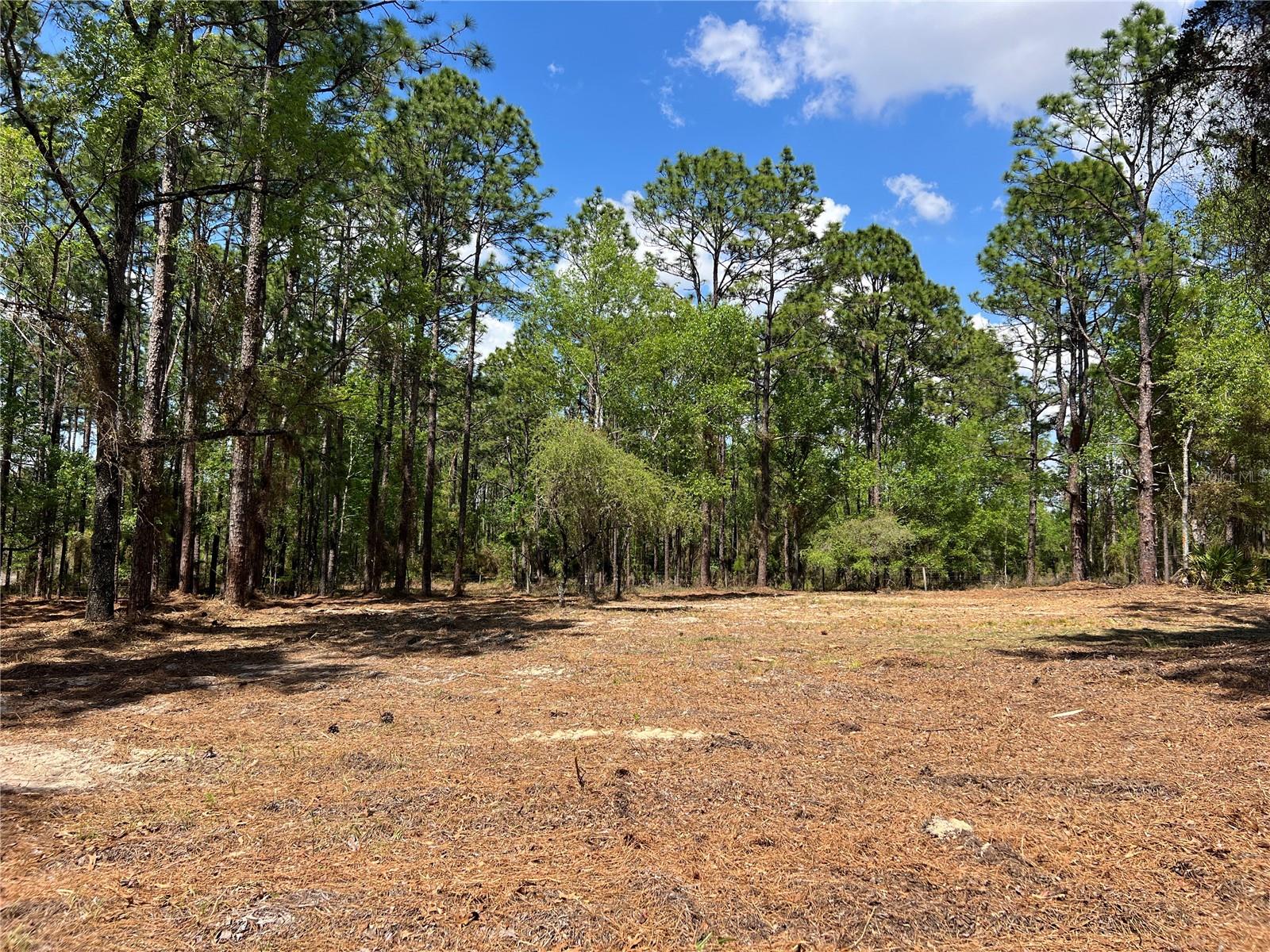 RAINBOW LAKES ESTATE - Land