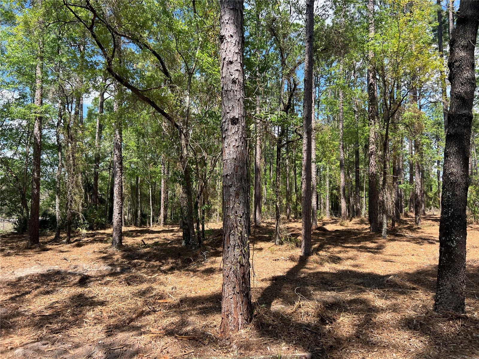 RAINBOW LAKES ESTATE - Land