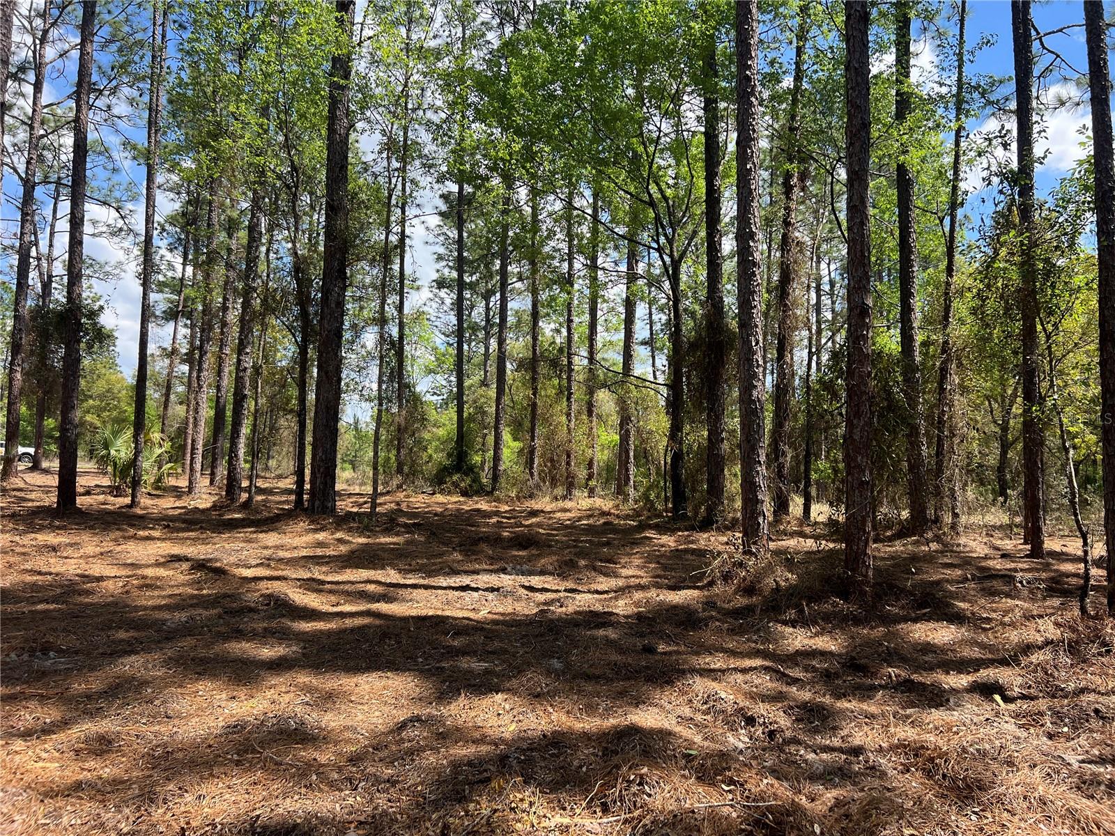 RAINBOW LAKES ESTATE - Land