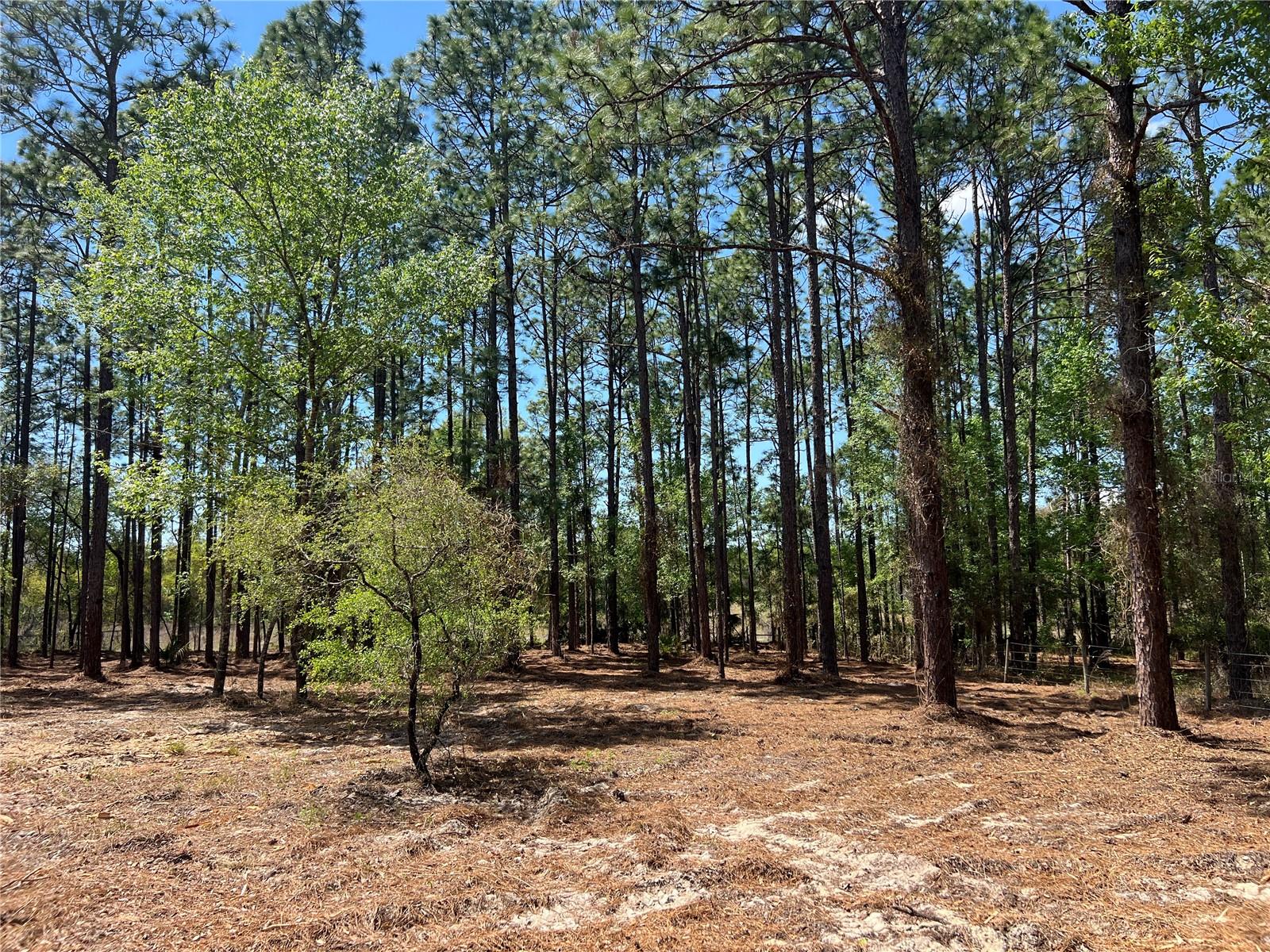 RAINBOW LAKES ESTATE - Land