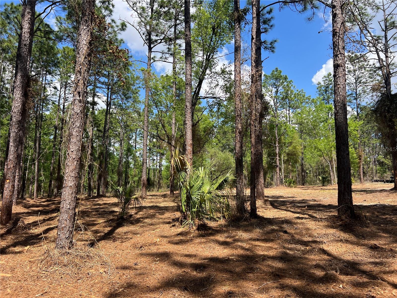 RAINBOW LAKES ESTATE - Land