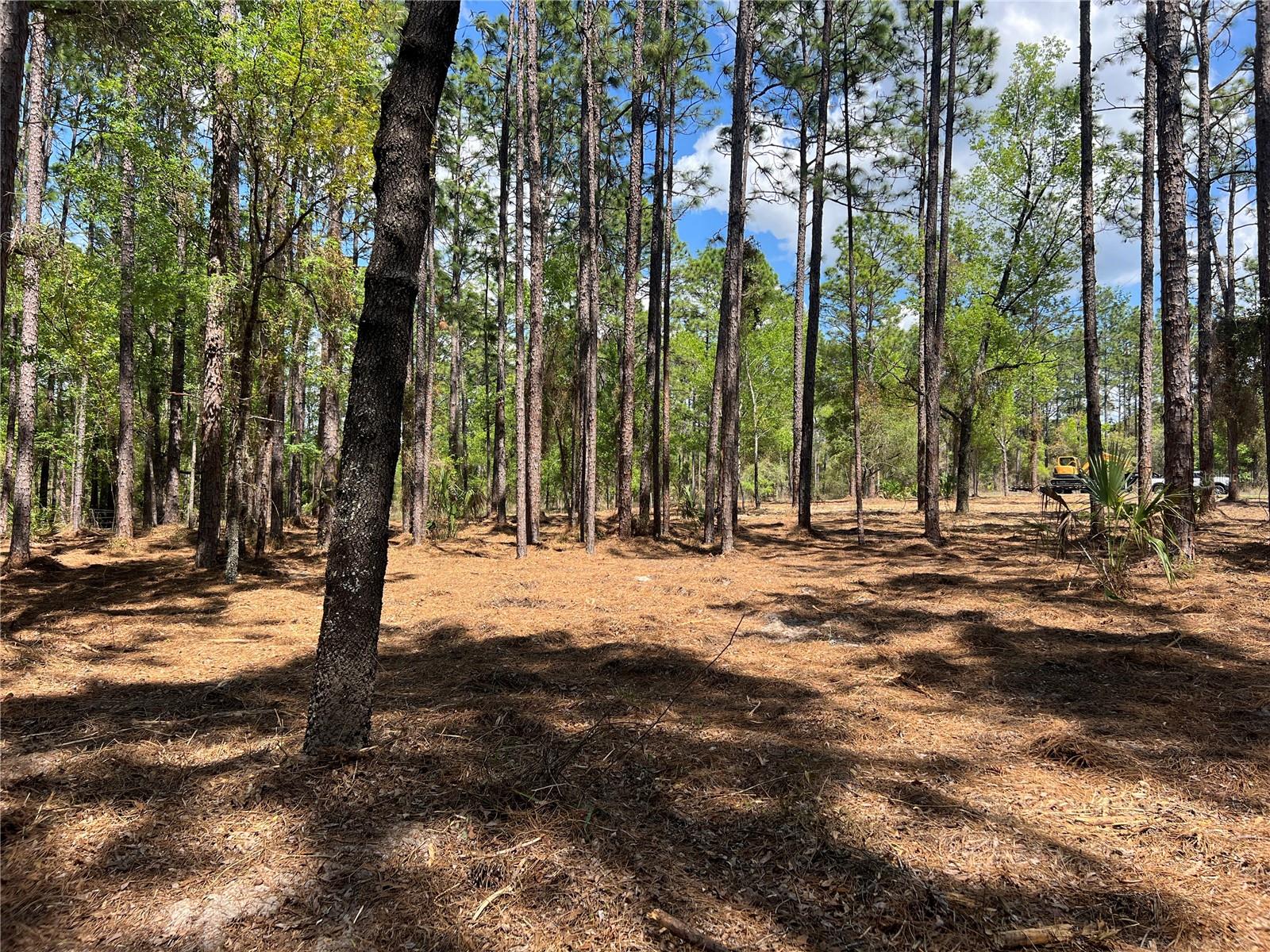 RAINBOW LAKES ESTATE - Land