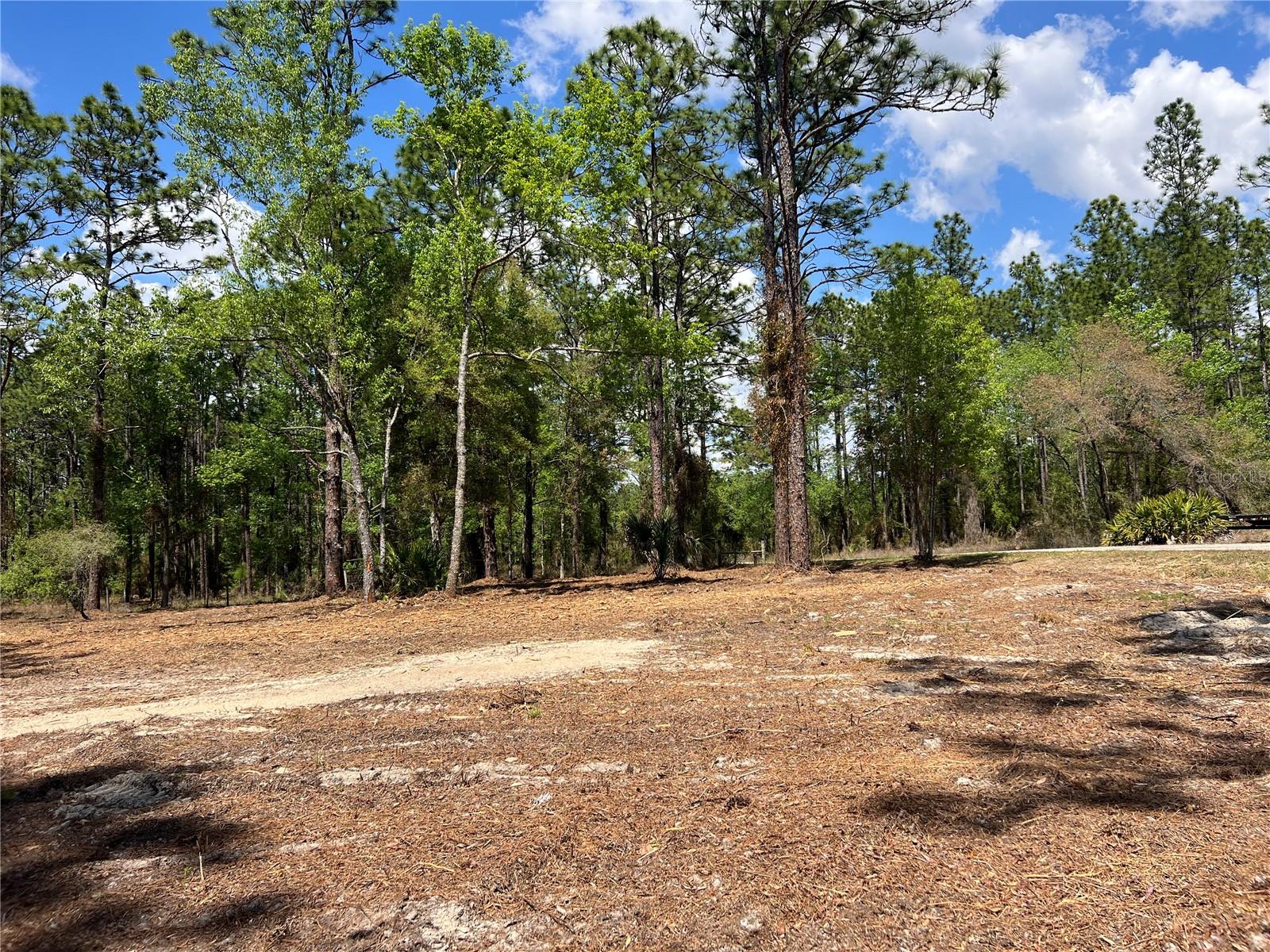 RAINBOW LAKES ESTATE - Land