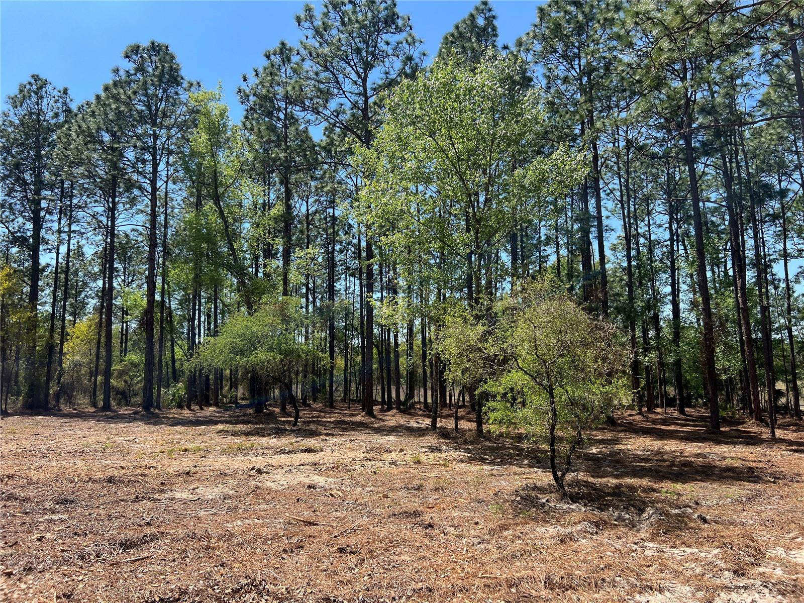 RAINBOW LAKES ESTATE - Land