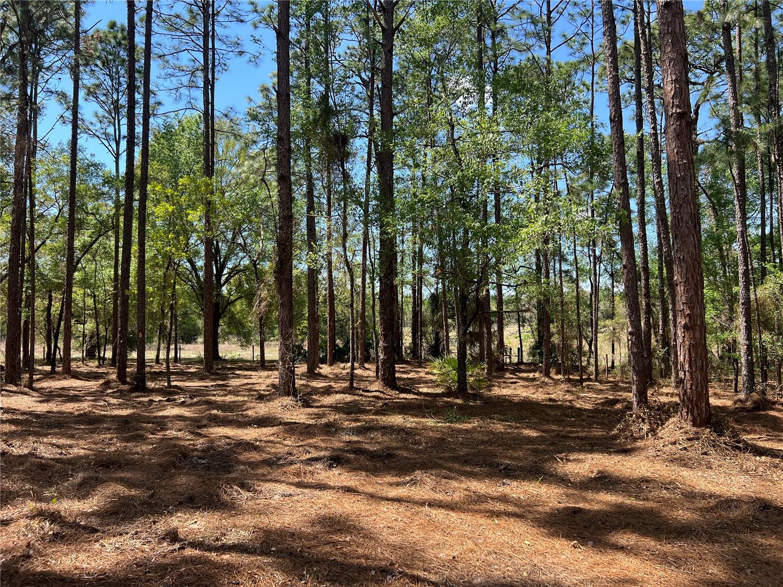 RAINBOW LAKES ESTATE - Land