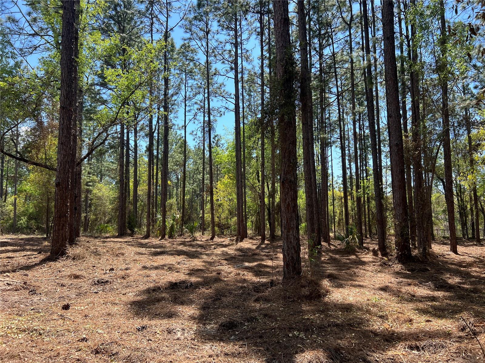 RAINBOW LAKES ESTATE - Land