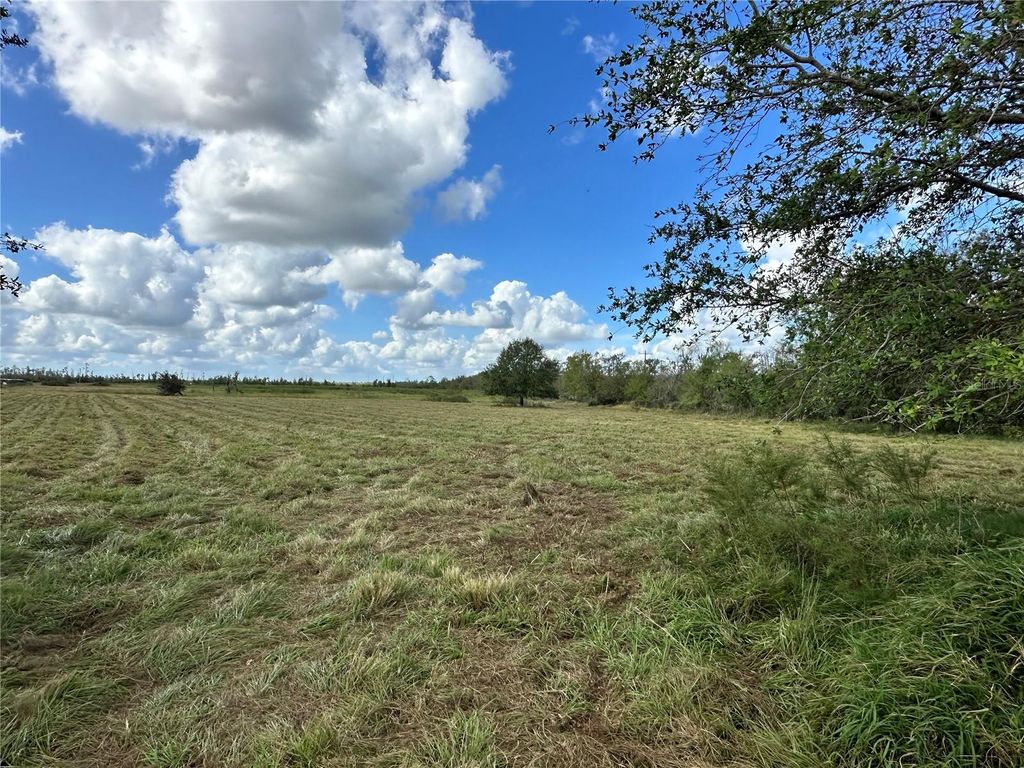 Photo of Wauchula Road, Myakka City, FL 34251 (MLS # A4628849)