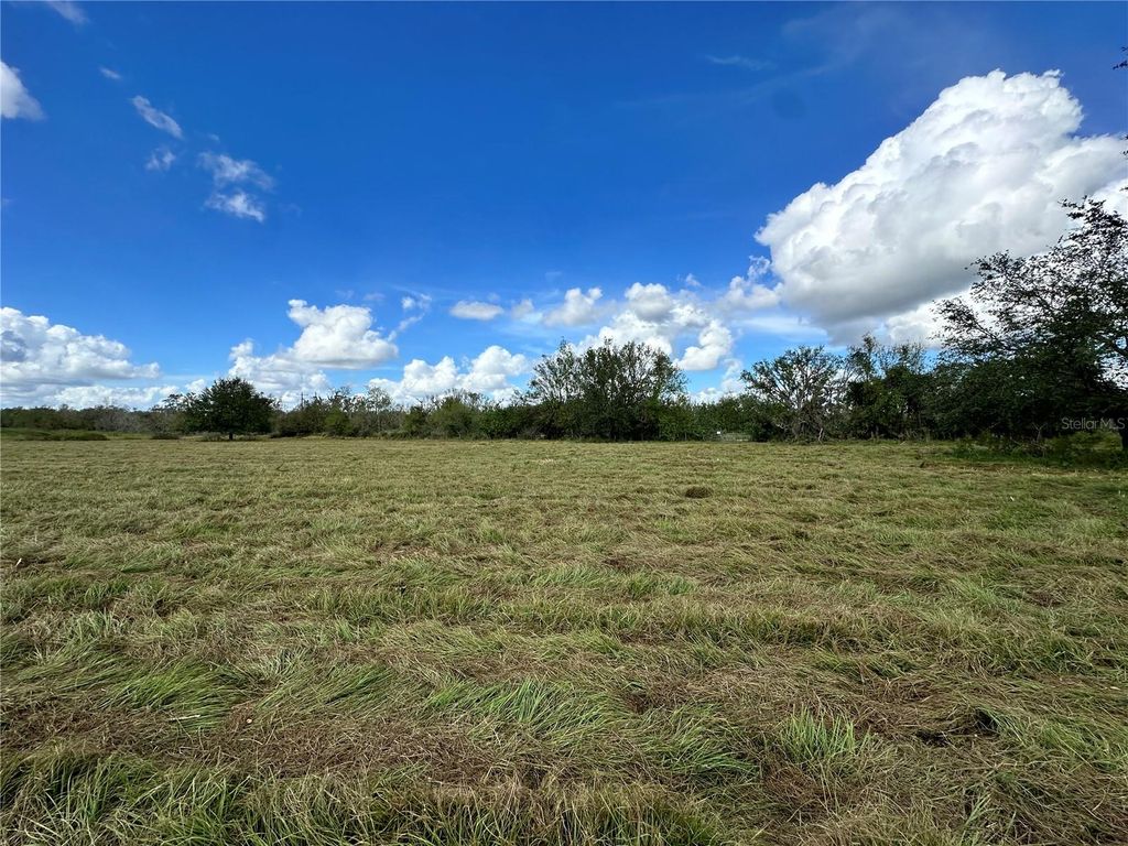 Photo of Wauchula Road, Myakka City, FL 34251 (MLS # A4628849)