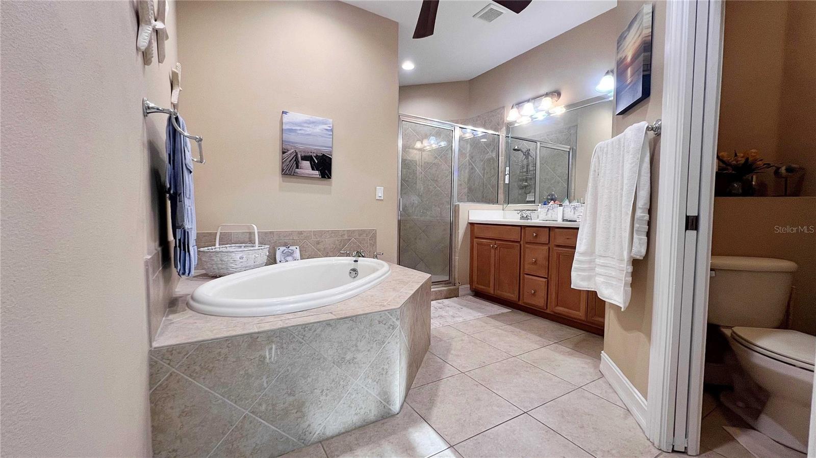 VILLAS OF SAN MARINO AT PALM HARBOR - Residential