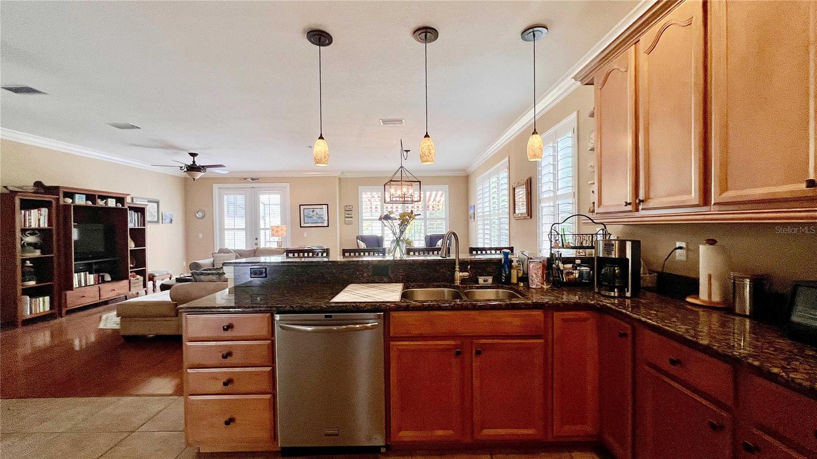 VILLAS OF SAN MARINO AT PALM HARBOR - Residential