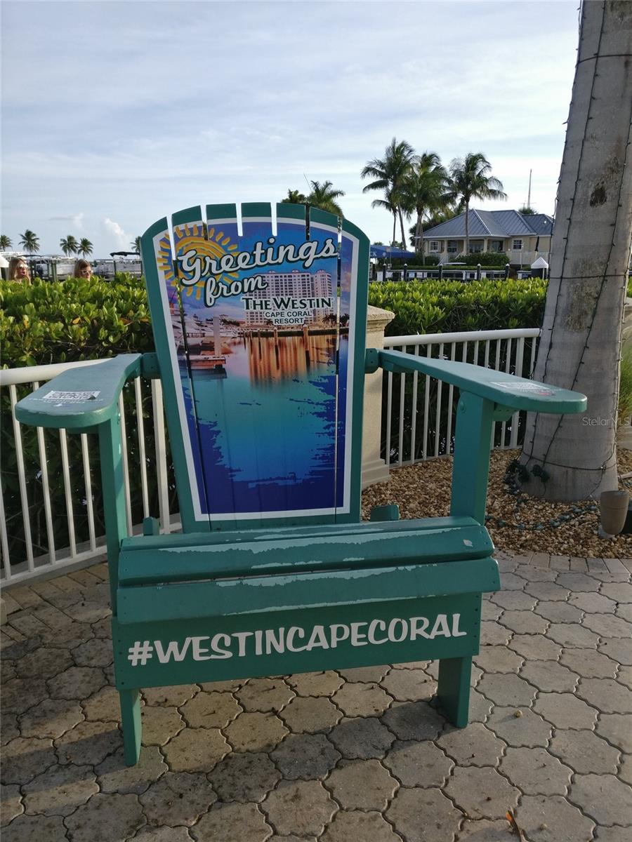 CAPE CORAL - Land