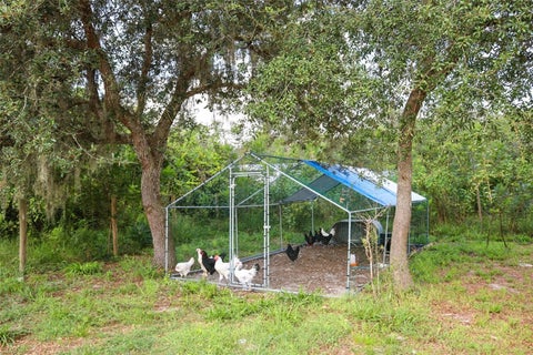 Tiny photo for 44031 East Road, Paisley, FL 32767 (MLS # O6435454)