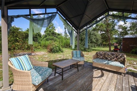Tiny photo for 44031 East Road, Paisley, FL 32767 (MLS # O6435454)
