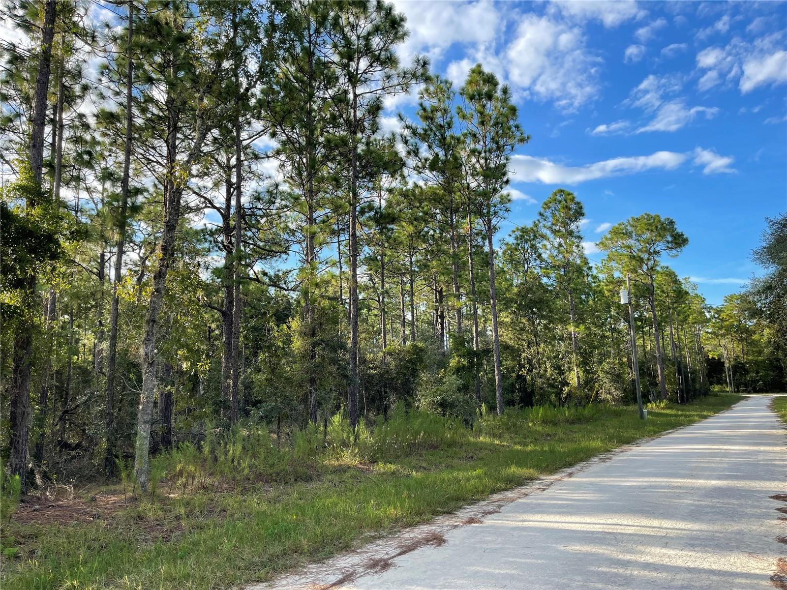 Look at this beautiful lot waiting for you. Bring your manufactured home or build your dream home. It is 1.25 acres with plenty of space for a camper, boat, ATVs, to put a shop; etc. The possibilities are endless with this lot. There is another lot of the same size that can also be purchased right next to it. Don't wait as this will probably not last long!!