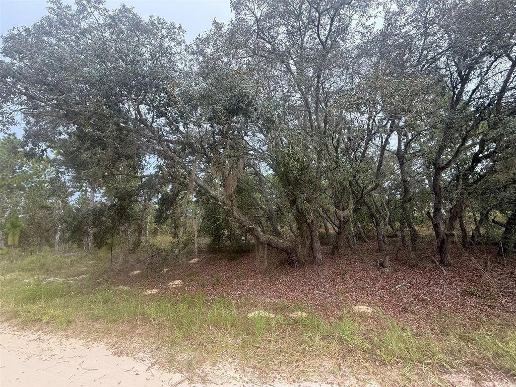 Photo of Tbd SW 89th St Lot 3 E 1/2, Dunnellon, FL 34432 (MLS # OM710354)