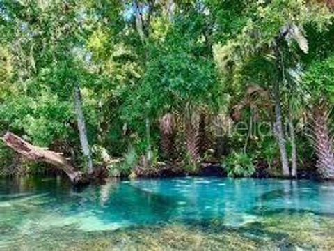 Tiny photo for 4807 W Pinto Loop, Beverly Hills, FL 34465 (MLS # OM726592)