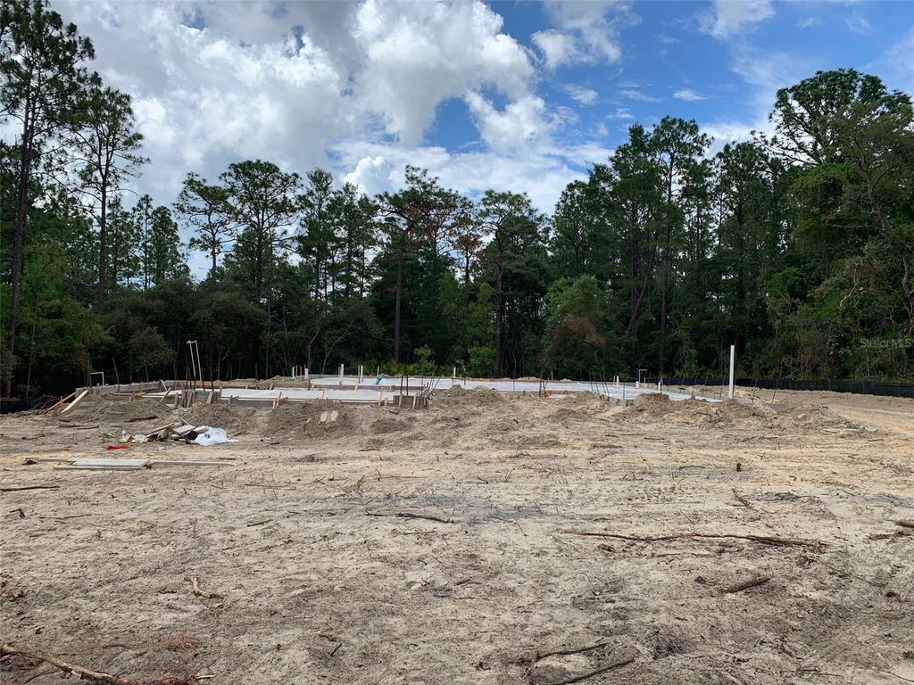 Photo of 4807 W Pinto Loop, Beverly Hills, FL 34465 (MLS # OM726592)