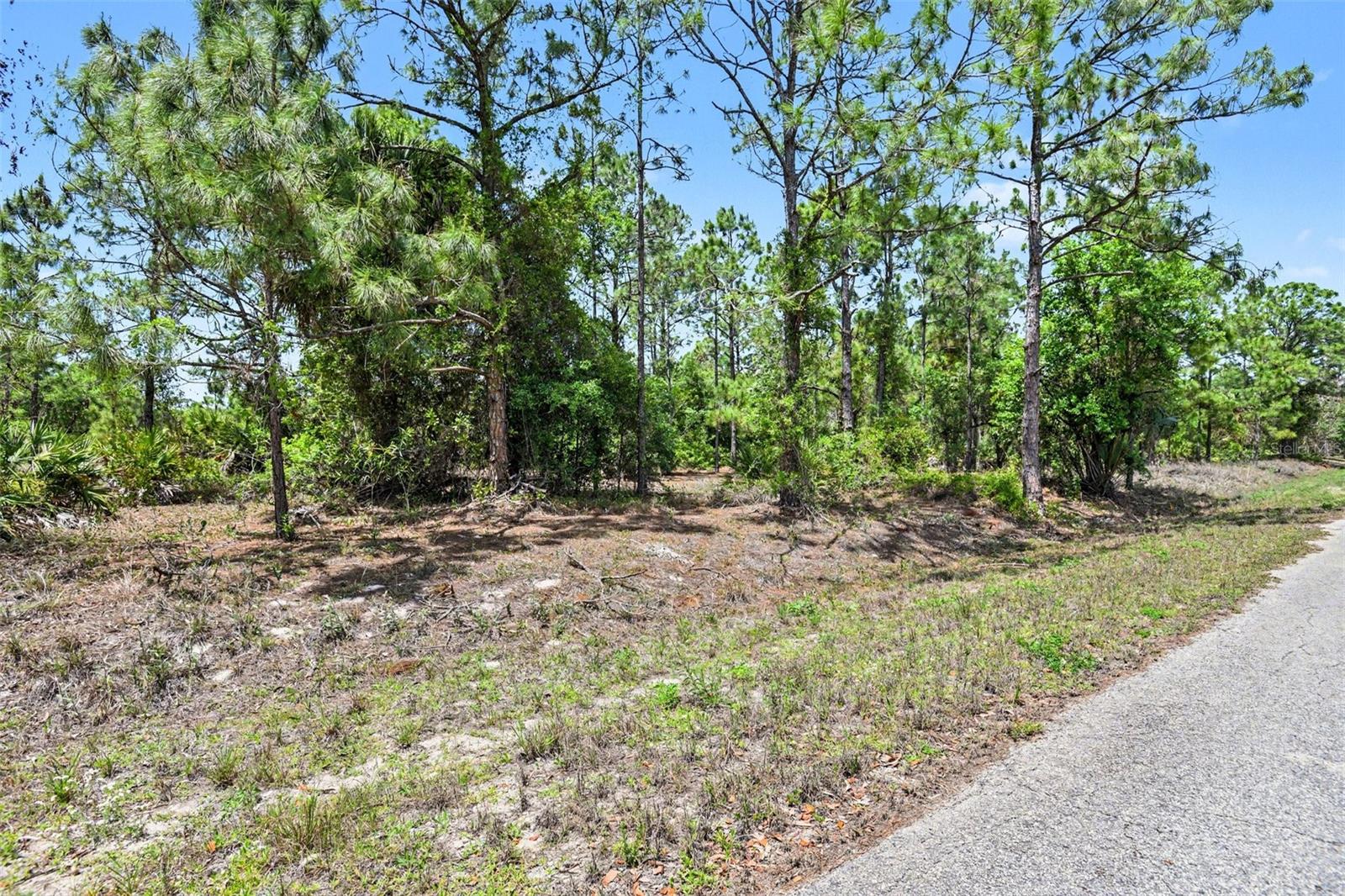 403 WELLINGTON AVENUE