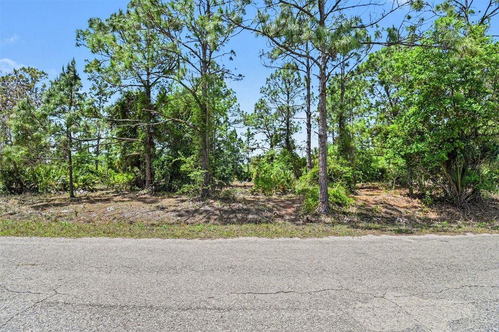 Photo of 403 Wellington Avenue, Lehigh Acres, FL 33972 (MLS # V4948531)