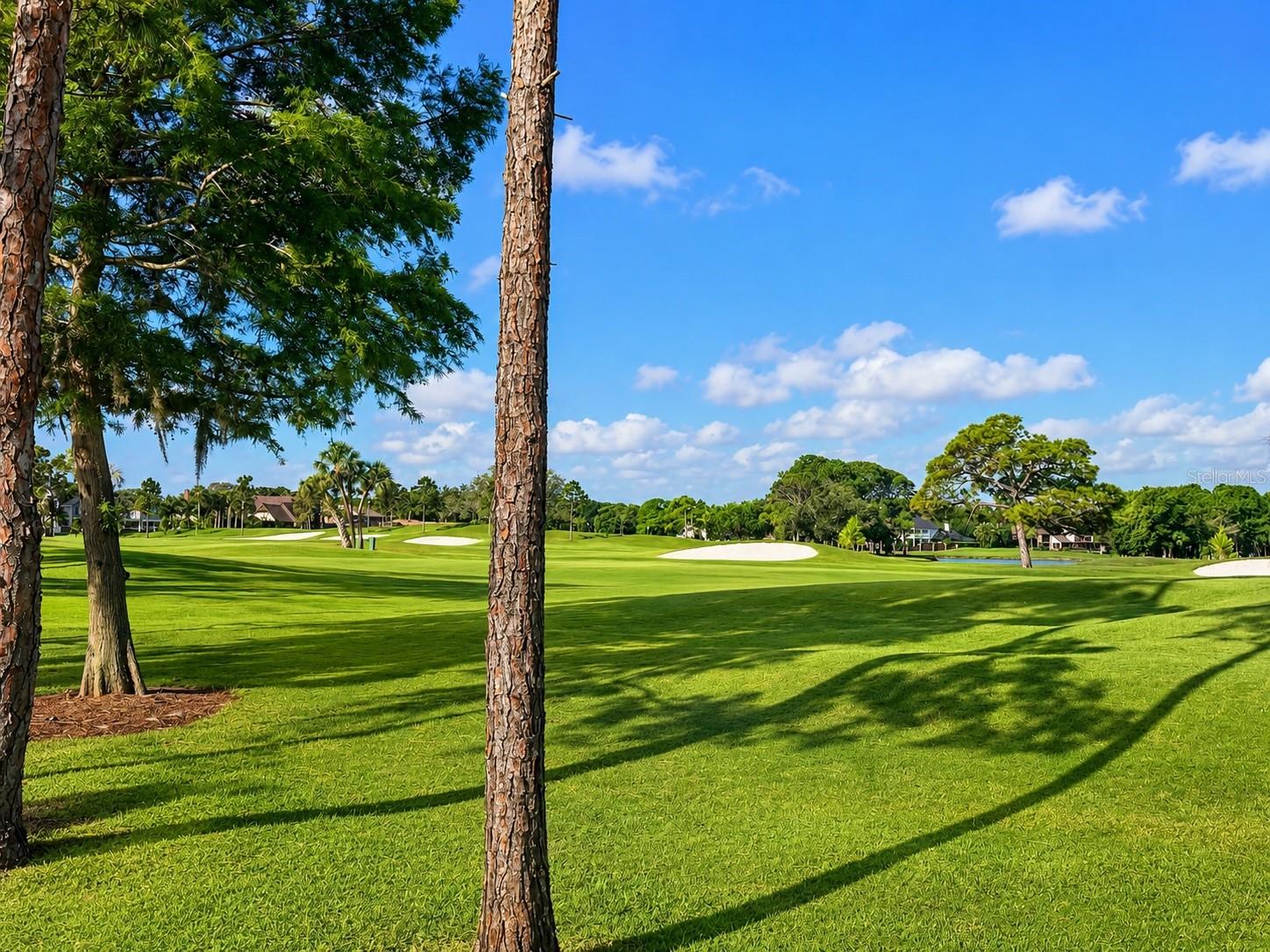 AUDUBON CONDO AT FEATHER SOUND - Residential