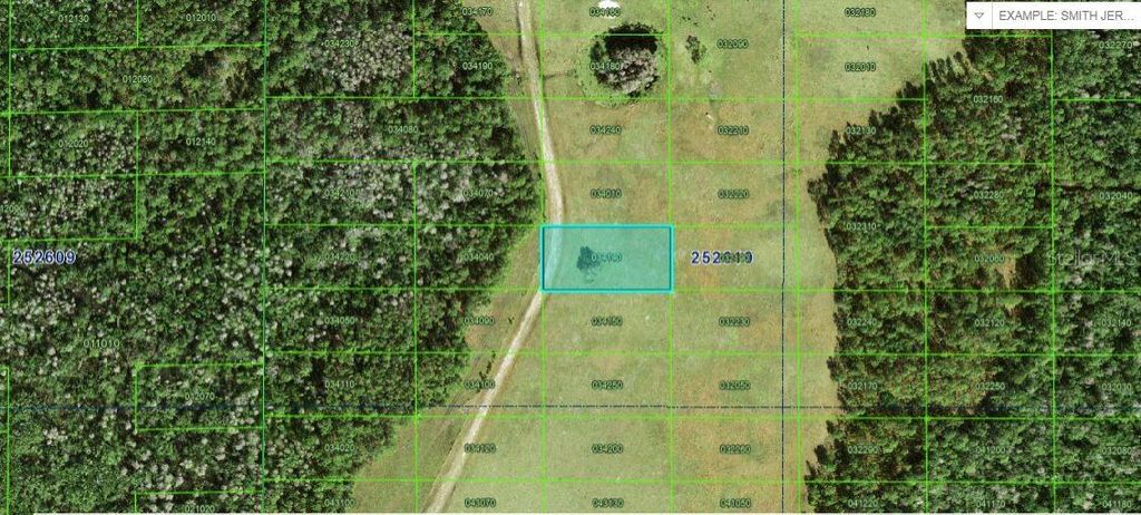 Photo of Commonwealth Avenue N, Polk City, FL 33868 (MLS # O6227950)