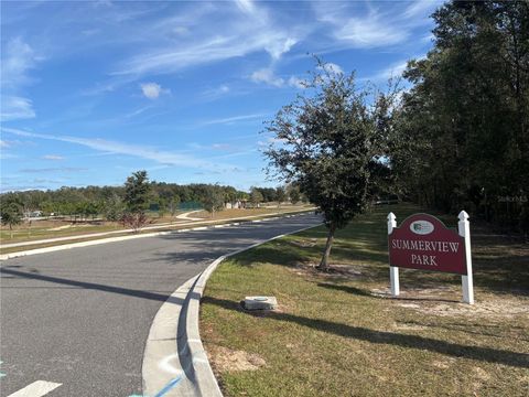 A home in MOUNT DORA