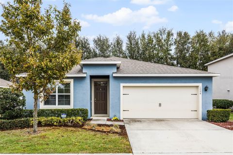 A home in MOUNT DORA