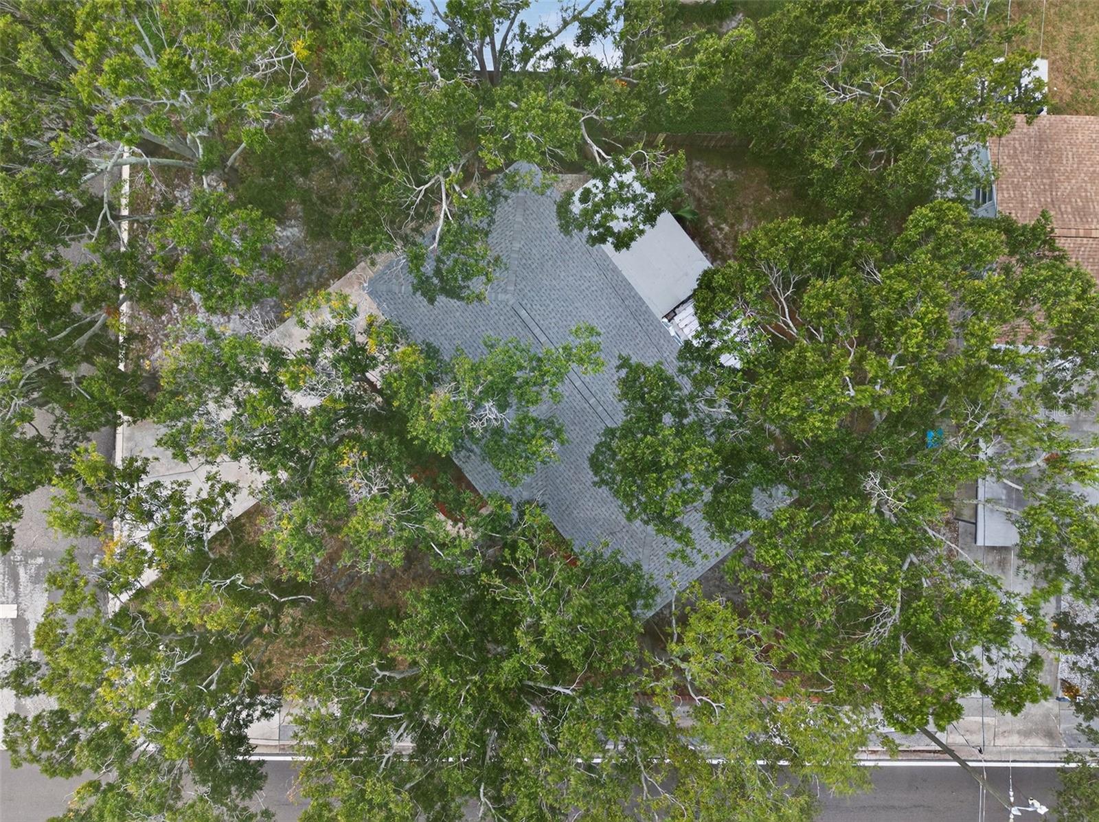 BAY RIDGE TERRACE - Residential