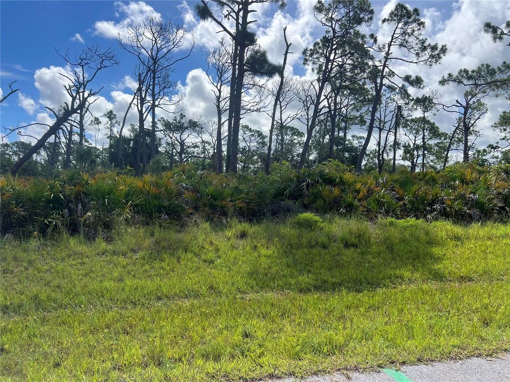 Photo of 142 Flower Rd, Rotonda West, FL 33947 (MLS # C7513133)