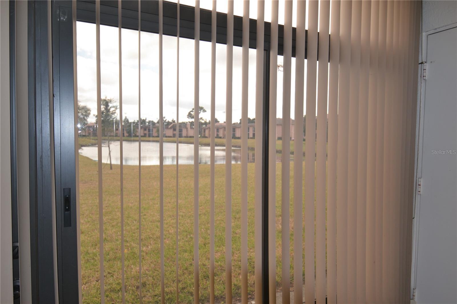 EAST LAKE WOODLANDS CONDO - Residential