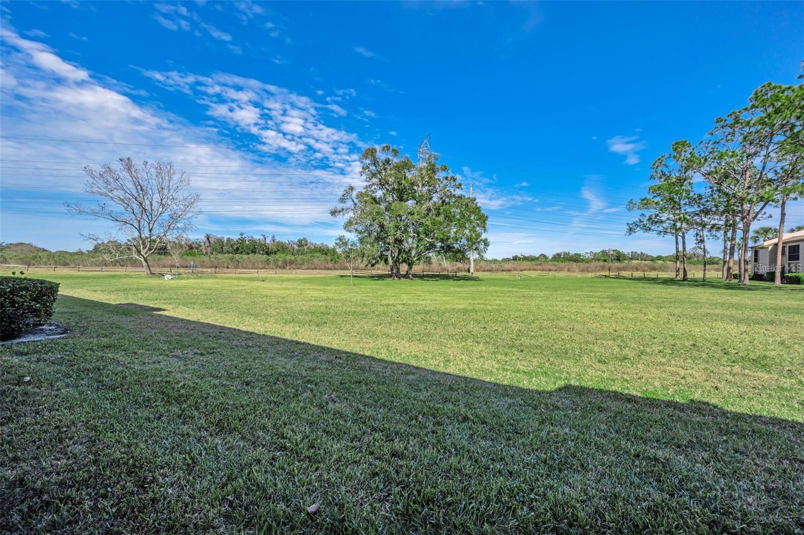 EAST LAKE WOODLANDS CONDO - Residential