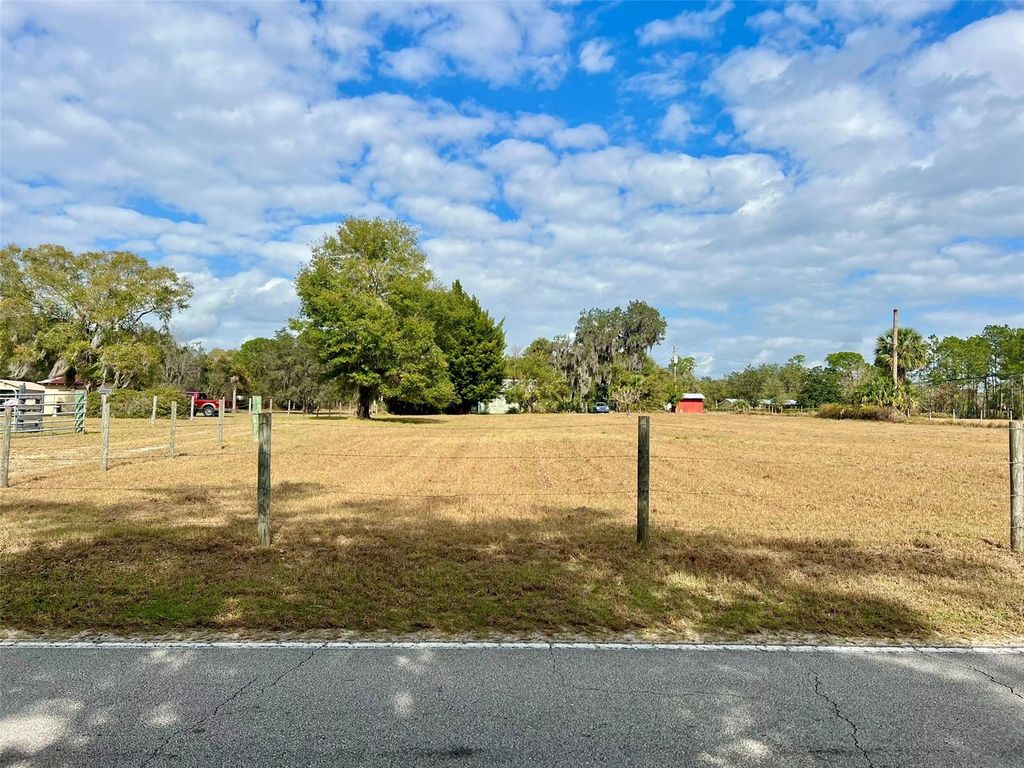 Photo of 392 Lemon Bluff Road, Osteen, FL 32764 (MLS # O6373678)